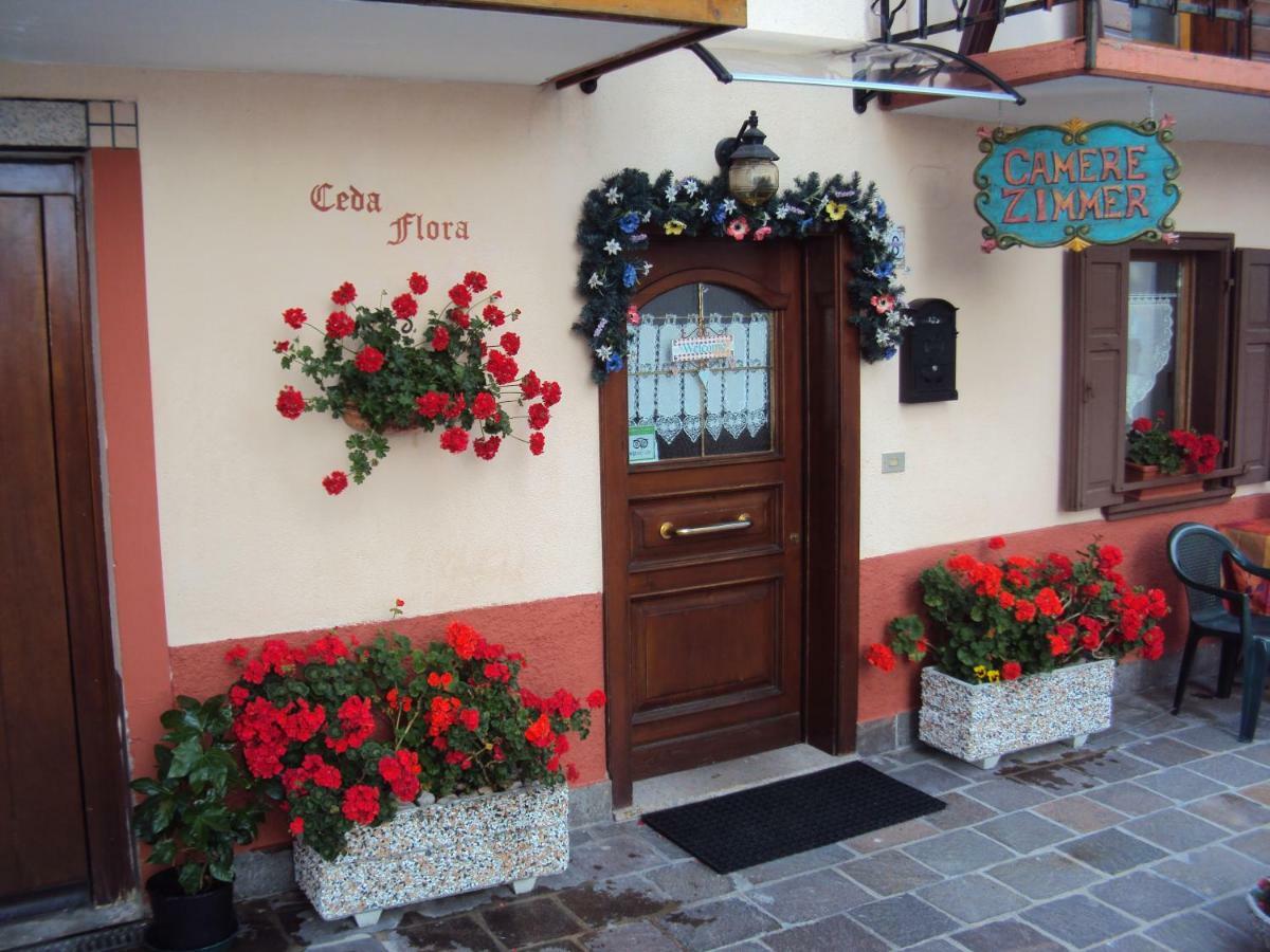 La Casa Di Beppe Appartamento E Camere Danta Екстер'єр фото